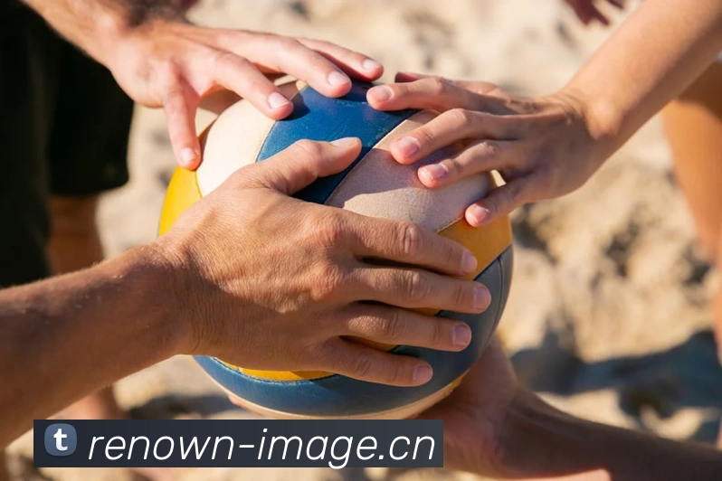 易倍emc官方平台生态图