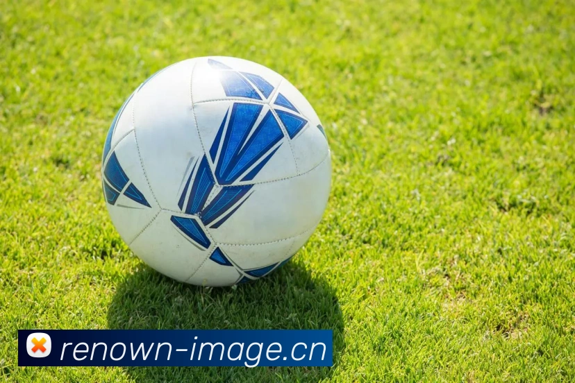 易倍emc官方APP 封面图